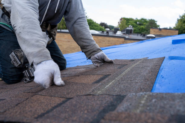 Best Emergency Roof Repair  in Elkton, KY